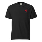 Front view of black DISAPPOINT THEM. Comfort Colors heavyweight T-shirt with red ApathySaves AS chest logo